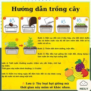 Blindbox Tự Trồng Cây Mini DIY Gồm Hạt Giống