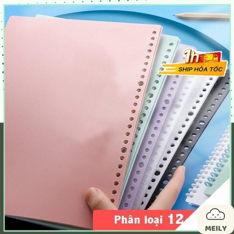 Bộ 2 bìa nhựa gắn sổ còng B5 26 chấu Pastel P16