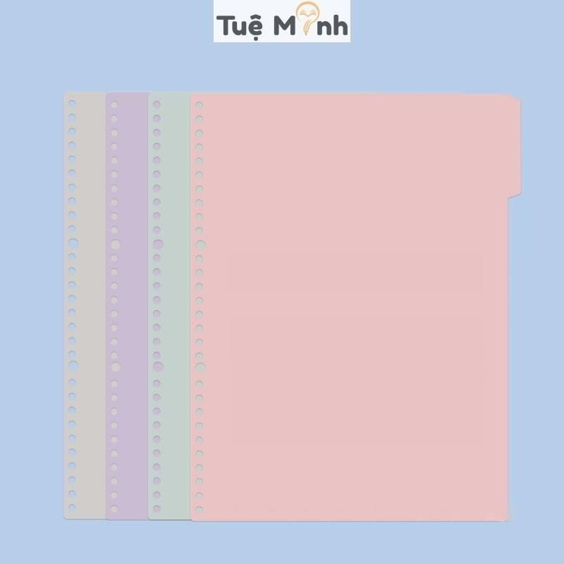 Bộ 2 bìa nhựa gắn sổ còng B5 26 chấu Pastel P16 - Bộ 4 tab phân trang B5 nhựa 26 lỗ màu Macaron P19