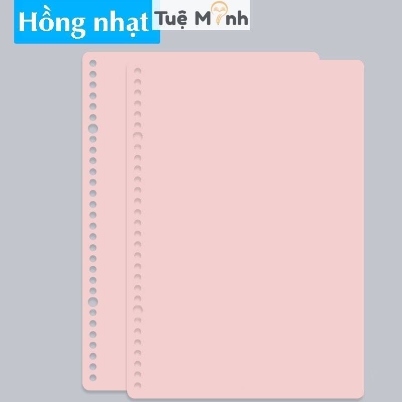 Bộ 2 bìa nhựa gắn sổ còng B5 26 chấu Pastel P16 - Set 2 bìa nhựa binder B5 P16 fm-b5 - Hồng nhạt