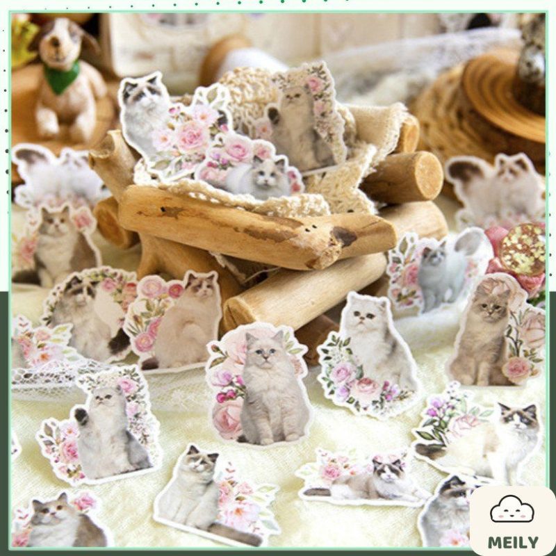 Bộ 45 sticker thế giới mèo World of Cat cho sổ bullet