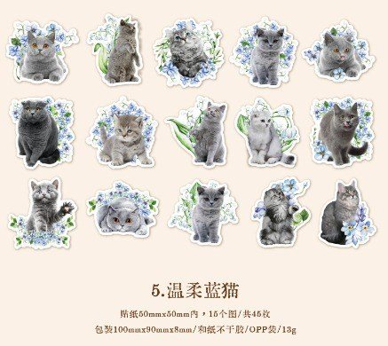 Bộ 45 sticker thế giới mèo World of Cat cho sổ bullet - Xanh dương
