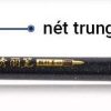 Nét trung S21
