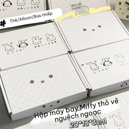 Hộp đựng quà tặng đáng yêu 20*13*3cm H54
