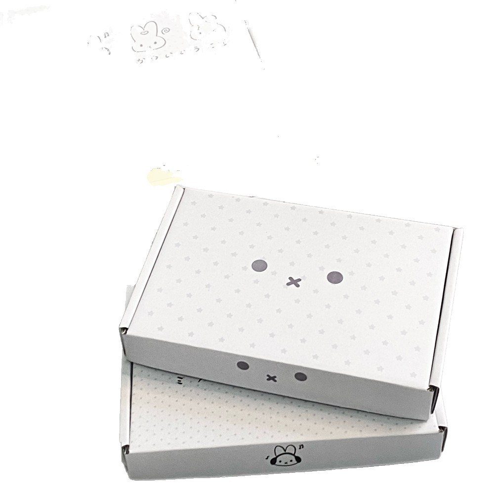 Hộp đựng quà tặng đáng yêu 20*13*3cm H54