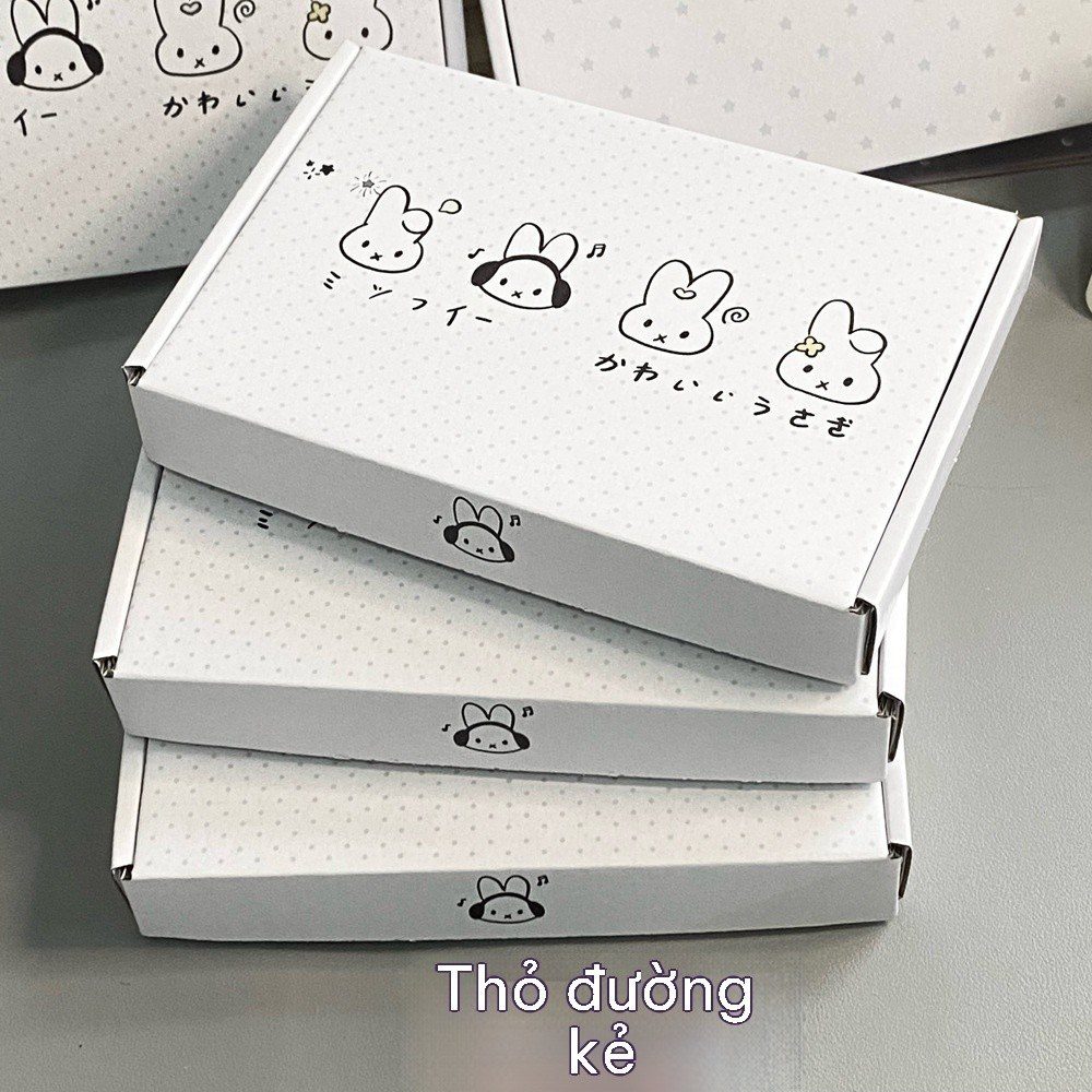 Hộp đựng quà tặng đáng yêu 20*13*3cm H54