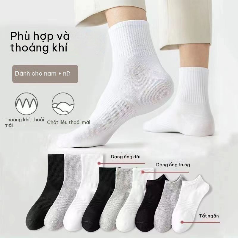 Set 5 Tất Nam Nữ BL86