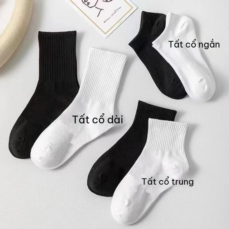 Set 5 Tất Nam Nữ BL86