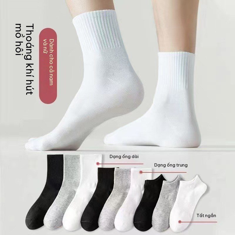 Set 5 Tất Nam Nữ BL86
