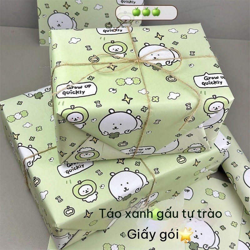 Set 6 Tờ Giấy Gói Quà BL239