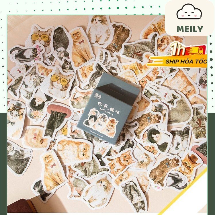 Sticker mèo cute hộp 46 sticker hoạt hình Mèo STI62